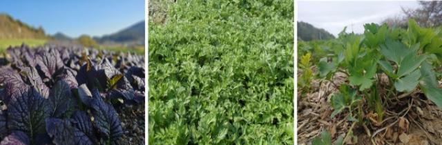 [NSP PHOTO]여수 농특산품 3종 국제슬로푸드 맛의 방주 등재