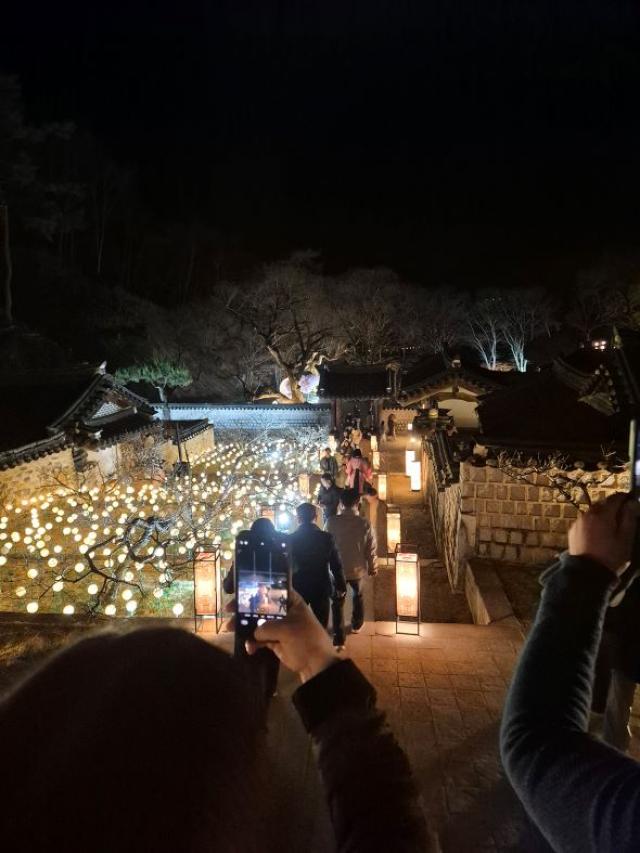 [NSP PHOTO]도산서원 야간개장 매화 만개 속 매화춘야의 진수 선사