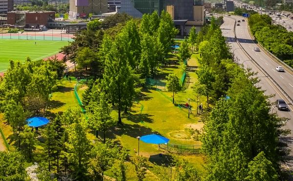 -현재 운영 중인 수지구 용인아르피아 파크골프장 전경 사진 용인특례시