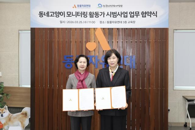 [NSP PHOTO]노인일자리 활용 길고양이 관리 도입인천서 시범사업 추진