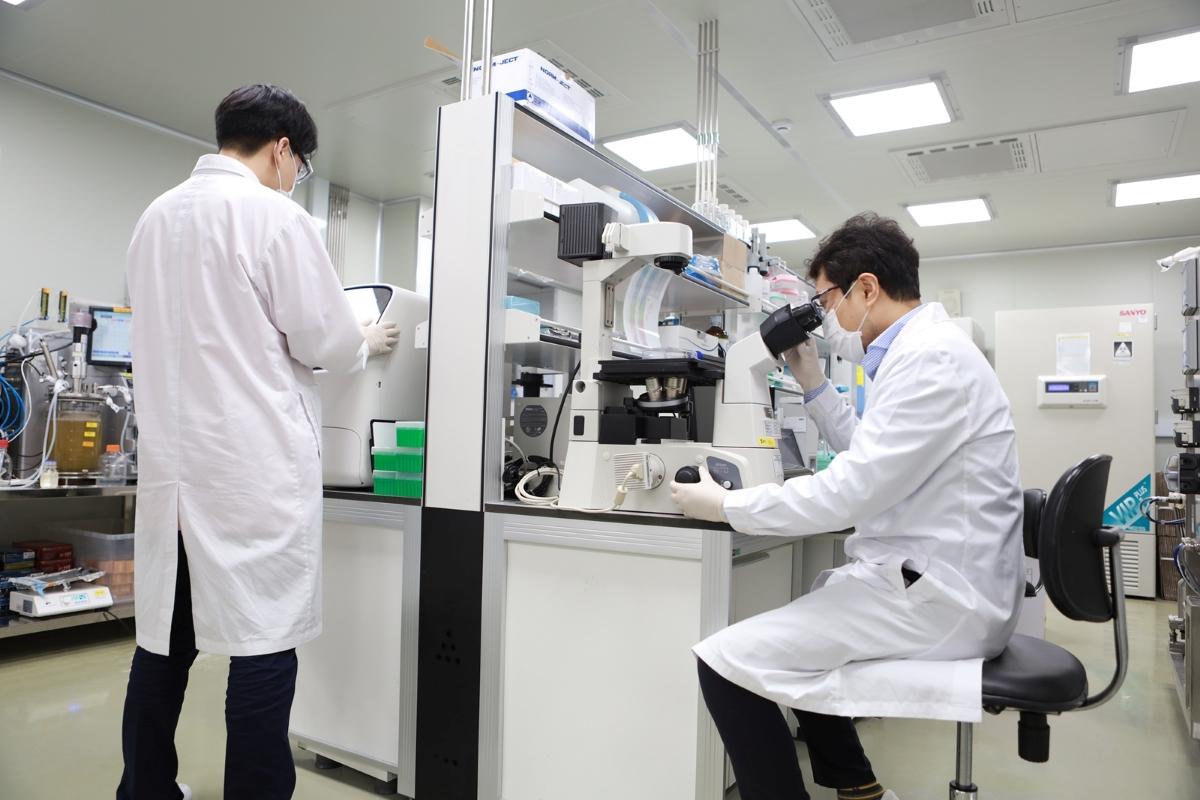 -SK케미칼 연구원이 오픈이노베이션 기반 신약 후보물질 분석을 진행하고 있다 사진 SK케미칼