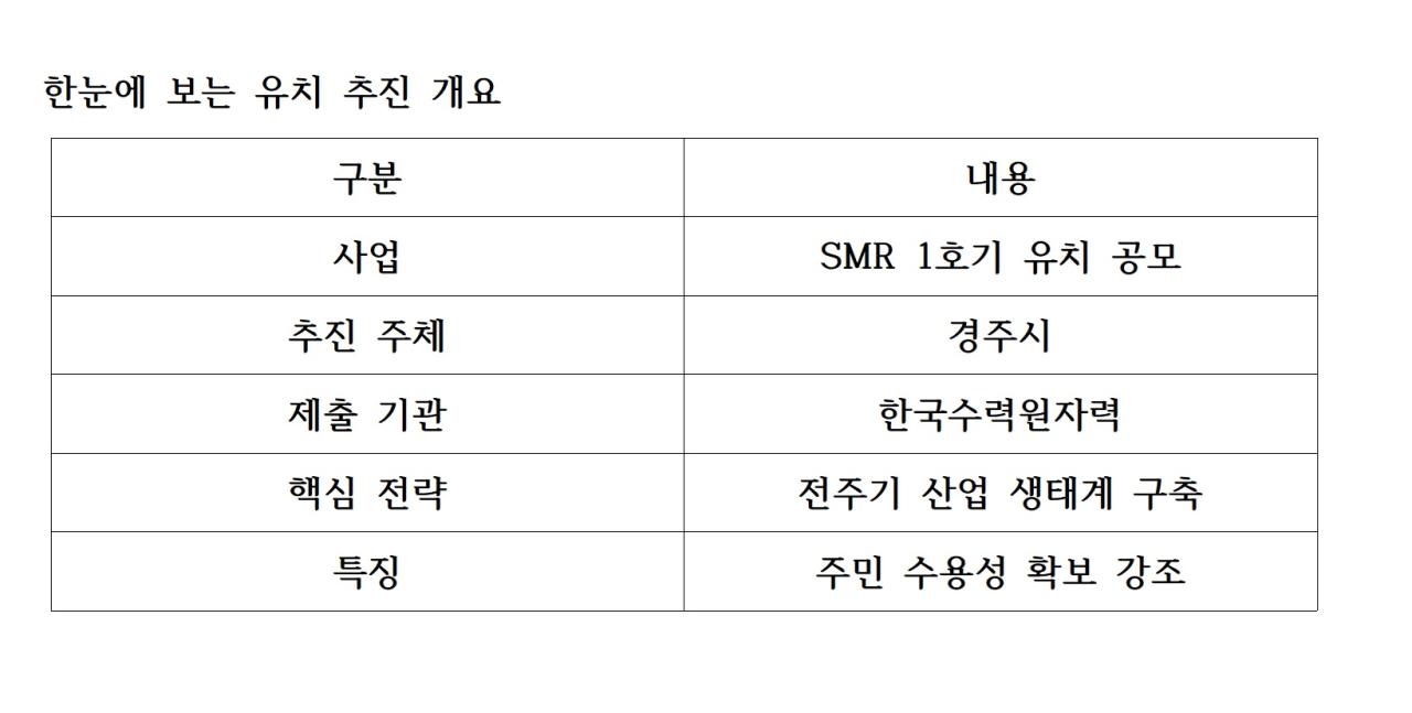 -한눈에 보는 유치 추진 개요 표 NSP통신