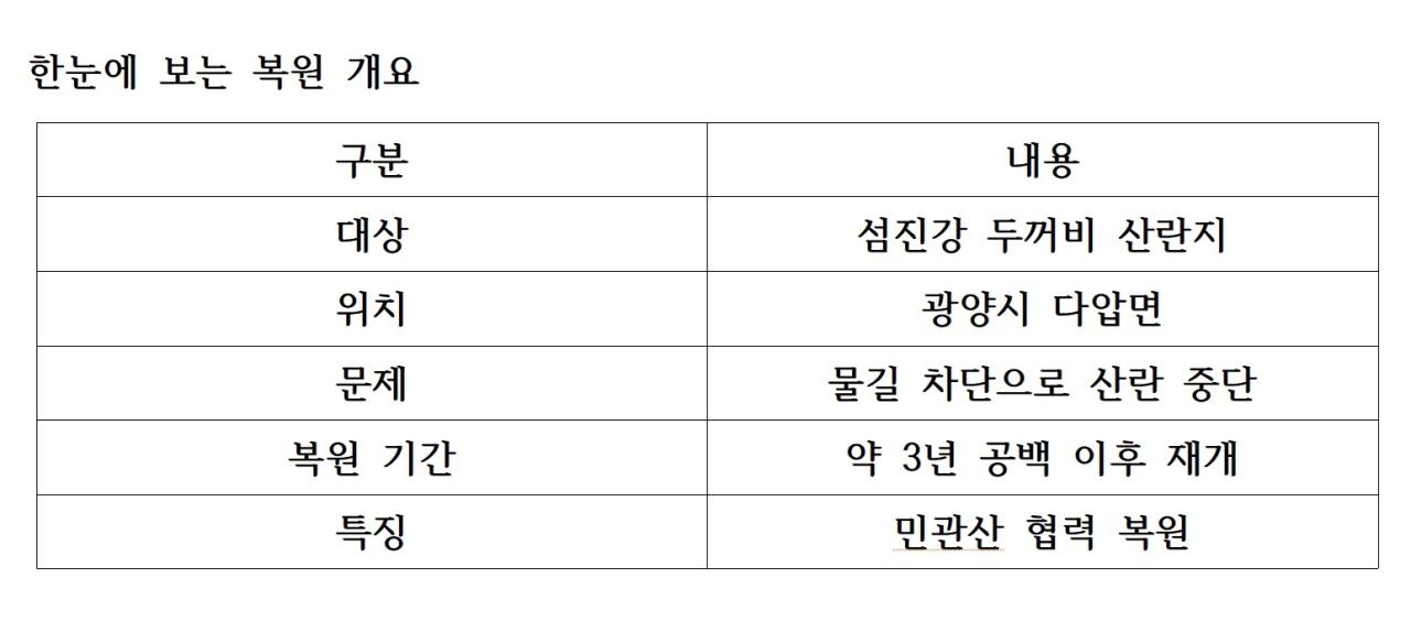 -한눈에 보는 복원 개요 표 NSP통신