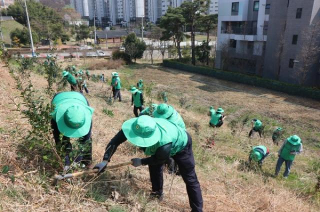 [NSP PHOTO]여수시새마을회 섬박람회 성공 기원 나무 800주 식재