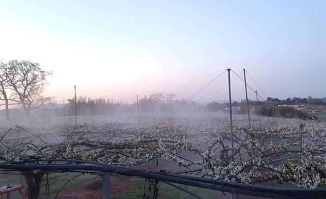 [NSP PHOTO]나주시 영농철 맞아 영농추진 상황실 가동