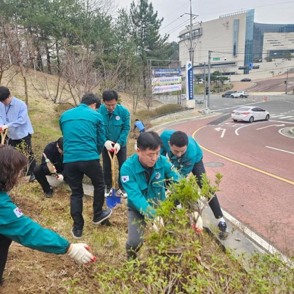 -포항교육지원청은 지난 30일 제81회 식목일을 맞아 청사 내에서 전 직원이 참여하는 나무심기 행사를 진행했다 사진 포항교육지원청