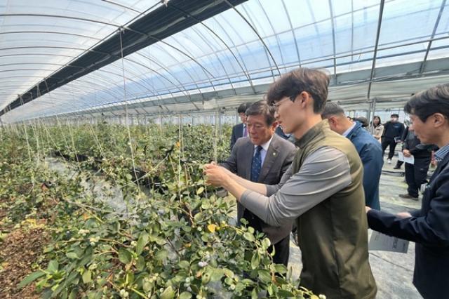 [NSP PHOTO]곡성군  신소득 원예 특화단지 조성사업 공모 선정