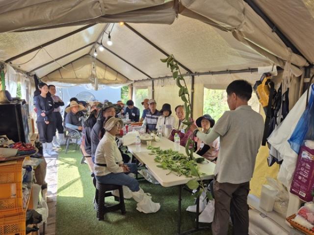 [NSP PHOTO]나주시 농업인대학 청년 배전문반 교육생 모집