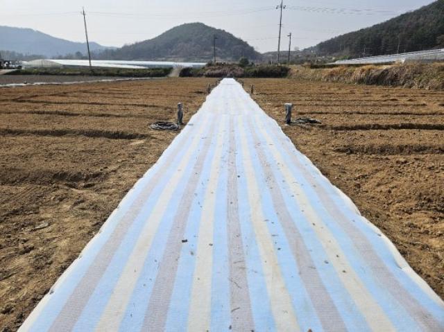 [NSP PHOTO]광양시 도시민 주말농장 개장