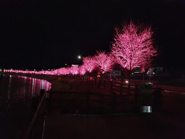 [NSP PHOTO]곡성군 옥과천 감성 야경 명소로 변신