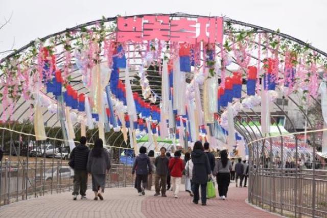 [NSP PHOTO]이번 주말 어디가안동 벚꽃축제 개막2년 만에 재개 체류형 콘텐츠 확대