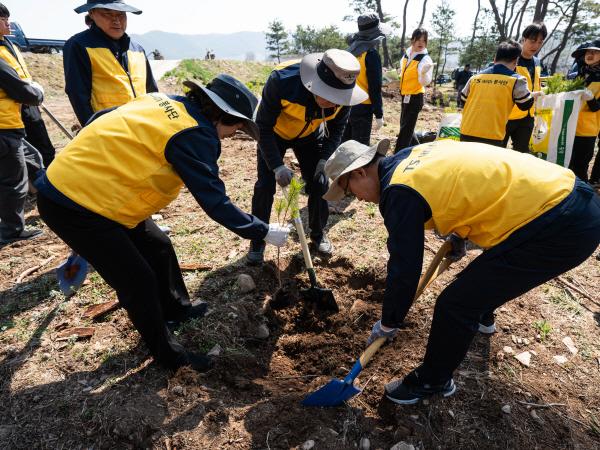 -한국교통안전공단은 한국산림복지진흥원 국립산림치유원과 함께 지난 2일 산불피해지역인 안동에서 산림 재건을 위한 묘목 식재 행사를 진행했다고 밝혔다 사진 한국교통안전공단