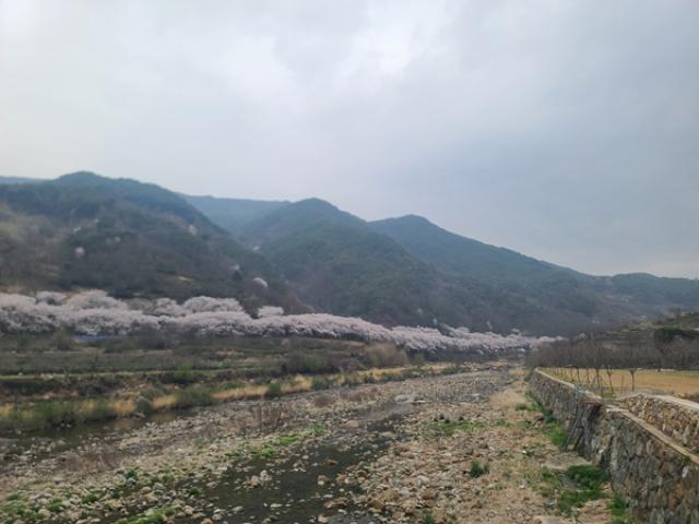 [NSP PHOTO]타보니GMC 아카디아대형 SUV 균형감 성능은 충분했다