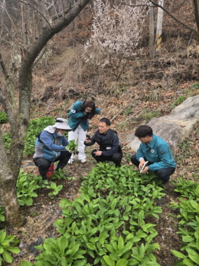 [NSP PHOTO]김천시 로컬푸드 출하 농가 현장 점검 나서