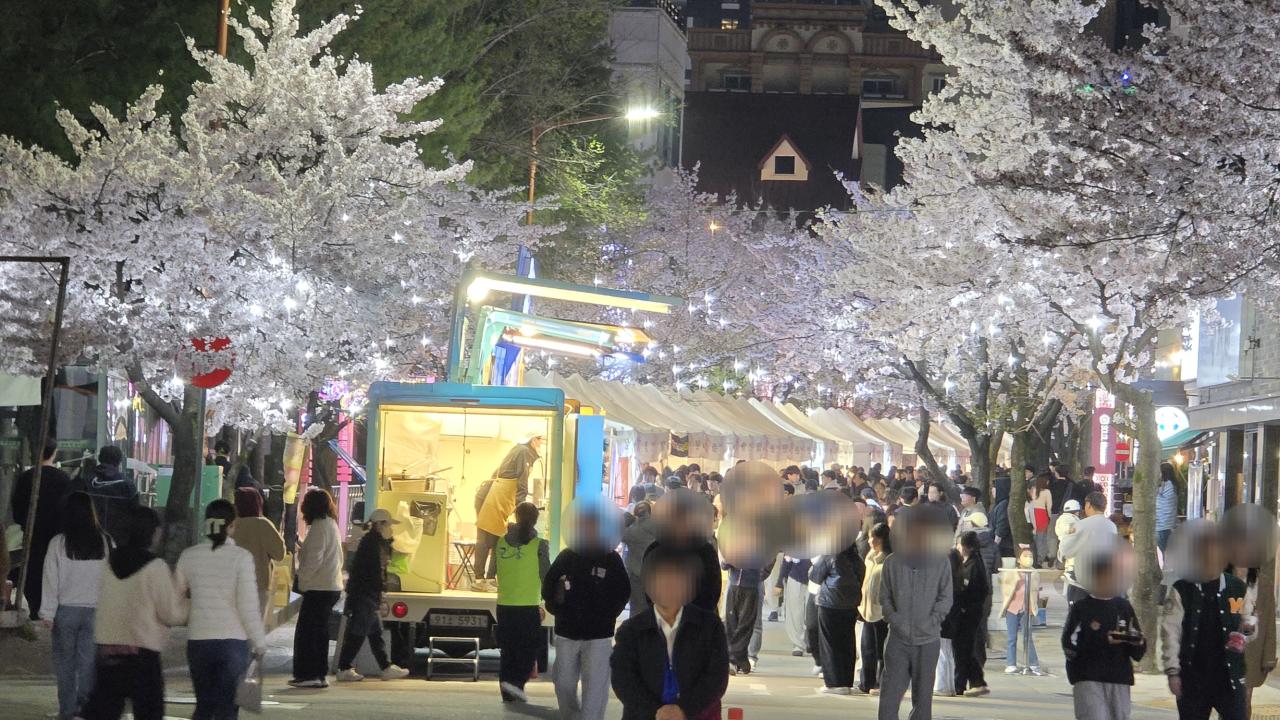 -제4회 강릉 솔올블라썸 축제 모습 사진 강릉시