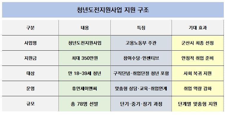 -청년도전지원사업 지원 구조표 표 NSP통신