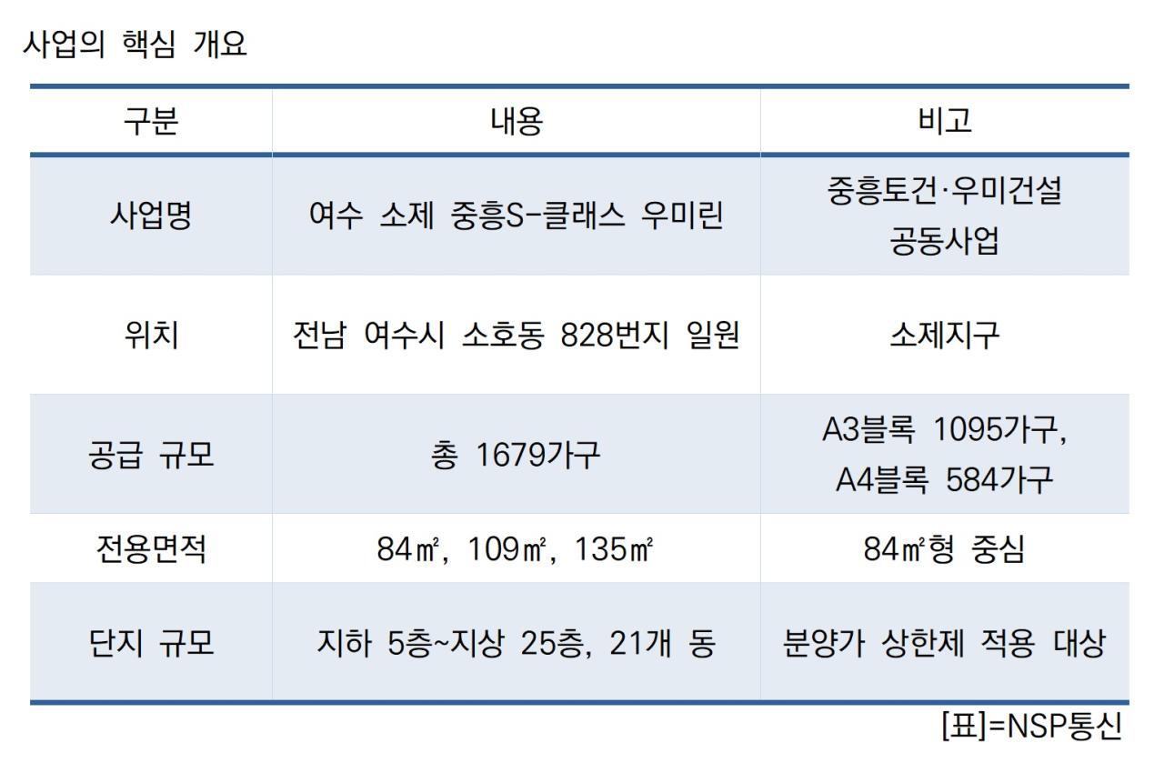 -사업의 핵심 개요 표 NSP통신