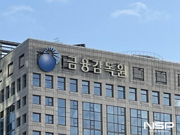 -금융감독원 사진 nsp통신