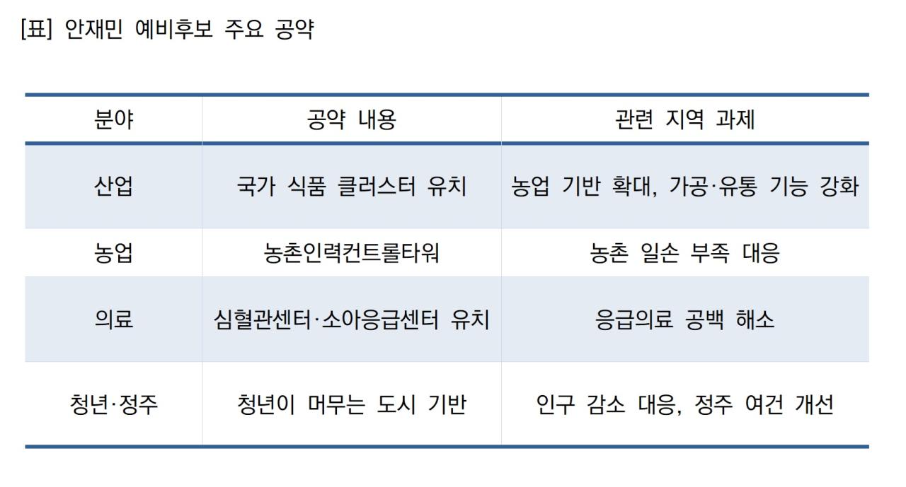 -표 안재민 예비후보 주요 공약 표 NSP통신