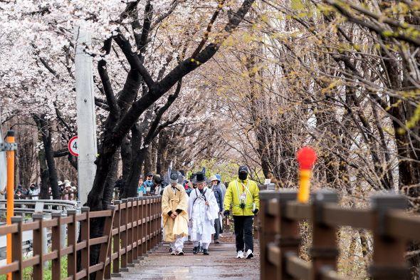 -성인과 청소년 등 200여 명으로 구성된 재현단은 서울 경복궁을 출발해 남양주 양평 원주 충주 제천 단양 영주를 거쳐 안동 도산서원까지 총 270km를 도보로 이동한다 사진 안동시