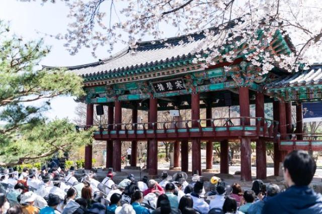 [NSP PHOTO]안동시 퇴계선생 마지막 귀향길 재현행사 순조롭게 진행중