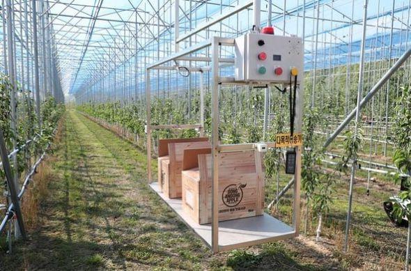 -안동 농업 스마트팜으로 판을 바꾼다 풍산읍 5 임대형 스마트팜 조성 100 규모로 단계적 확대 청년 유입농가소득기후 대응을 아우르는 농업 혁신 추진 AI 기반 스마트농업 클러스터 구축으로 지역경제 활력 기대 사진 권기창예비후보 선대위