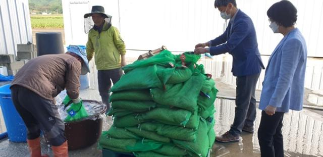 [NSP PHOTO]강진군 벼 안전육묘 현장기술 지도 강화