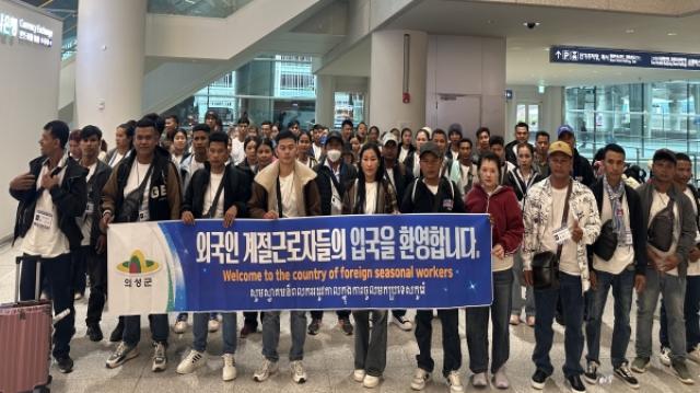 [NSP PHOTO]의성군 공공형 계절근로자 본격 투입농가 인력난 해소 총력