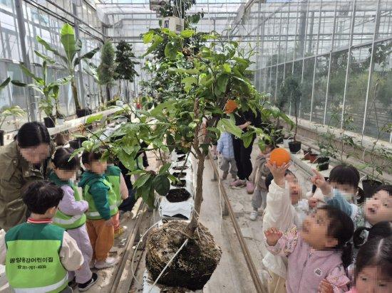 -아이들 현장 체험 사진 광양시청