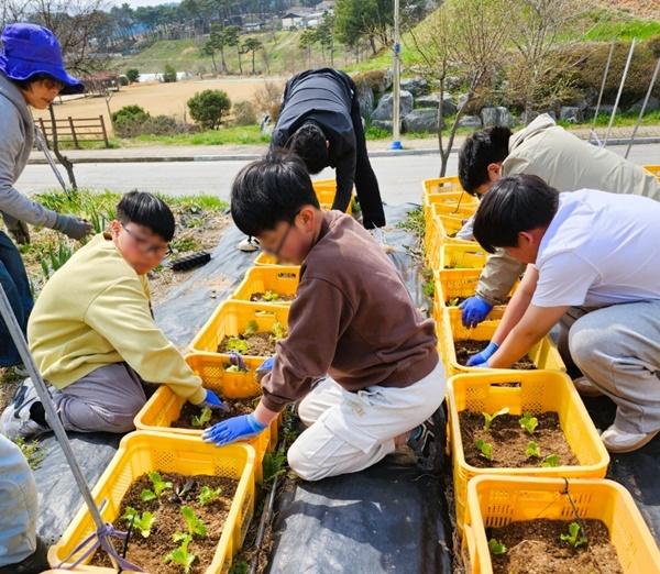 -장성군이 농촌 돌봄 서비스 활성화 사업의 일환으로 운영 중인 농촌돌봄농장 사진 장성군