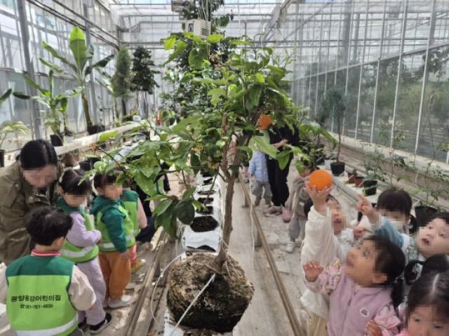 [NSP NEWS Image]광양시 어린이사회복지급식관리지원센터 흙에서 배우는 식사 체험형 영양교육 운영