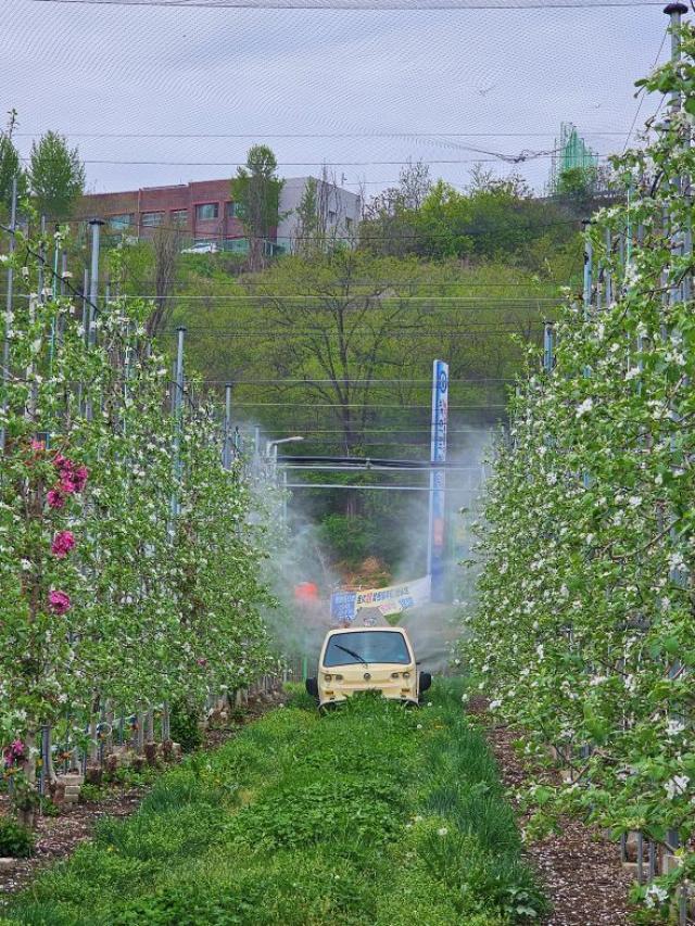 [NSP NEWS Image]안동시농업기술센터 과수화상병 개화기 맞춰 예방 약제 살포 당부