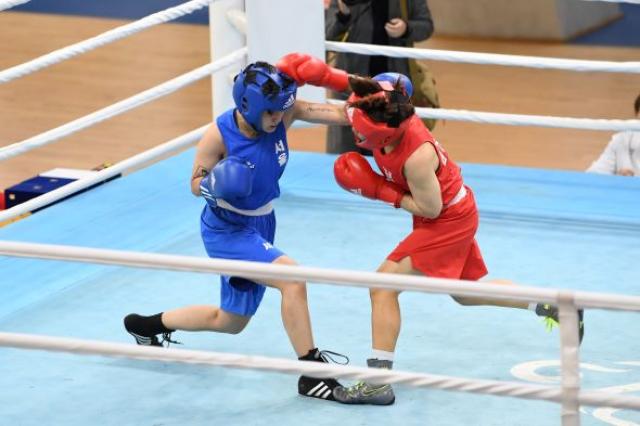 [NSP NEWS Image]영주시 2026 전국종별복싱선수권대회 14일 개막