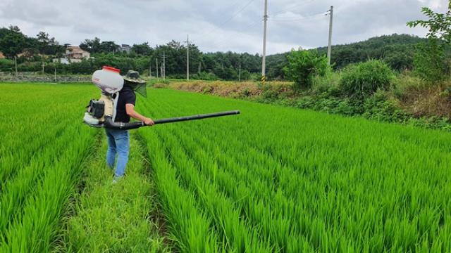 [NSP NEWS Image]강진군 비료수급 위기 따른 적정시비 당부