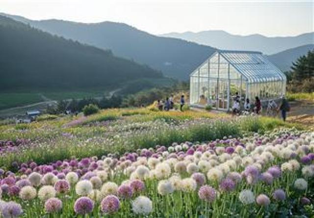 [NSP NEWS Image]봉화군 행안부 2026년 청년마을 만들기 사업 선정