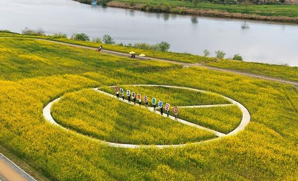 -나주시가 전남도 선거관리위원회와 협업해 영산강 유채꽃 단지에 조성한 기표용구 형태의 포토존 사진 나주시