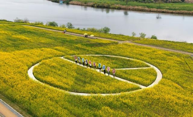 [NSP NEWS Image]나주시 영산강 유채꽃 단지에 기표용구 포토존 조성 눈길