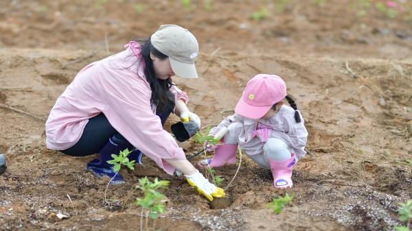 -영덕군과 영덕문화관광재단이 오는 5월 2일부터 6월 14일까지 별파랑공원 일대에서 2026 상반기 영덕 희망심기 투어를 운영한다 사진 영덕군