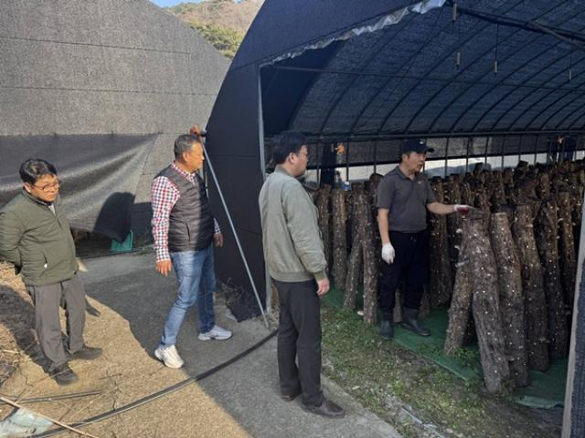 [NSP NEWS Image]장흥군 지역 대표 특산물 흥화표고 판로 확대 나서