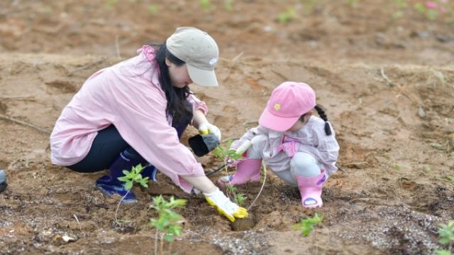 [NSP NEWS Image]영덕군영덕문화관광재단 참여형 생태 관광 2026 영덕 희망심기 투어 열어