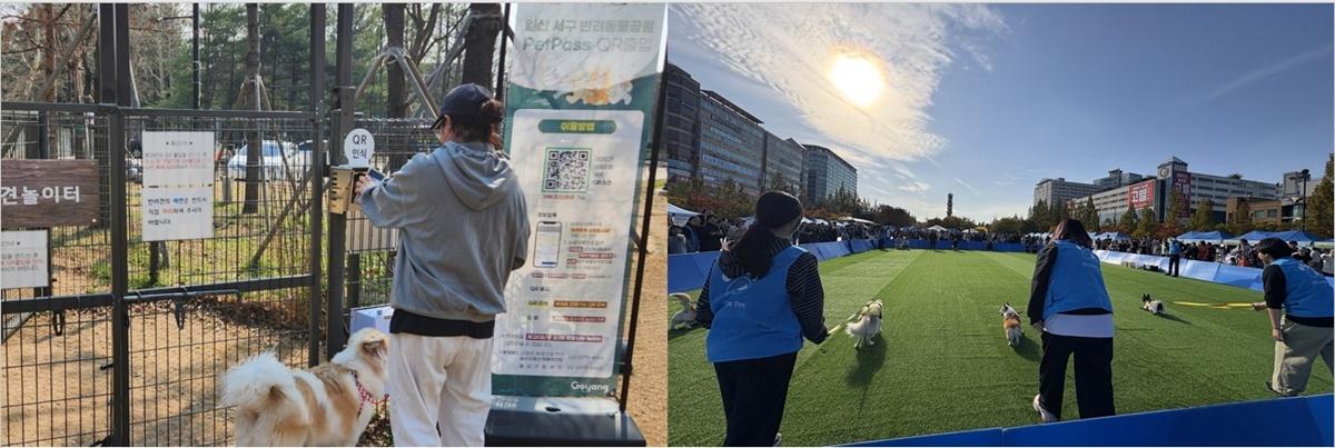 -일산서구 반려동물공원에 설치된 QR인증 기반 자동 출입 시스템좌와 2025년 반려견 달리기 대회우 사진 고양시