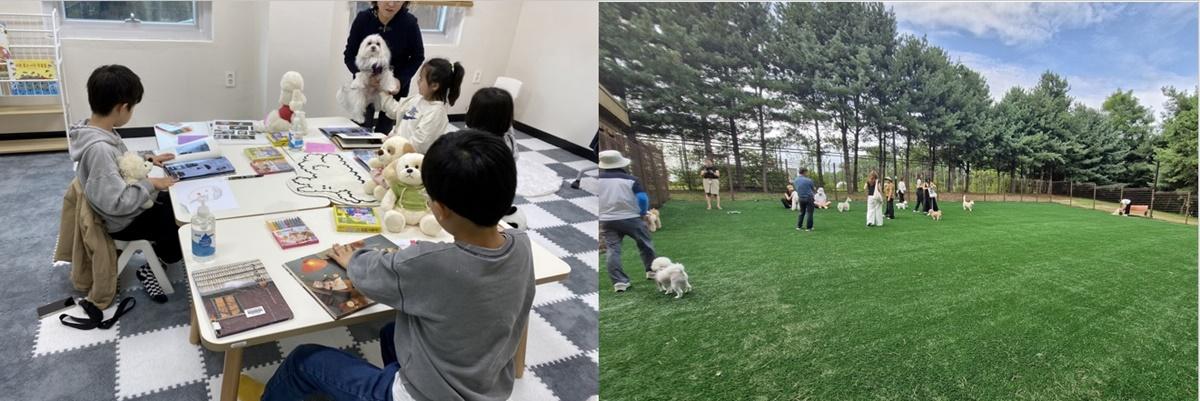 -동물교감치유 리딩독 프로그램좌와 덕수근린공원 반려견놀이터우 사진 고양시
