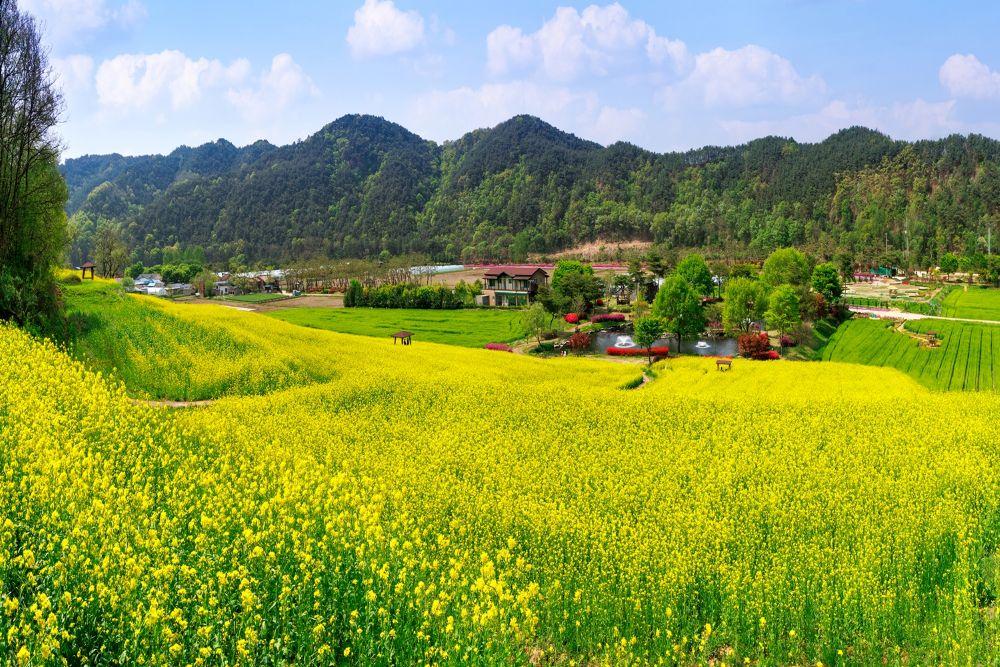 -회룡포 백사장에서는 가족 레크리에이션 모래 썰매 대결 모래성 깃발 게임 고고학 발굴 체험 등 온 가족이 함께 뛰고 즐길 수 있는 프로그램이 진행되며 축제장 곳곳을 누비는 코니와 풍선 아저씨를 통해 어린이 방문객에게 색다른 즐거움을 선사할 예정이다 사진 예천군