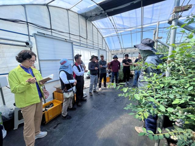 [NSP NEWS Image]곡성군 블루베리 공선출하회 대상 현장 순회 컨설팅 실시
