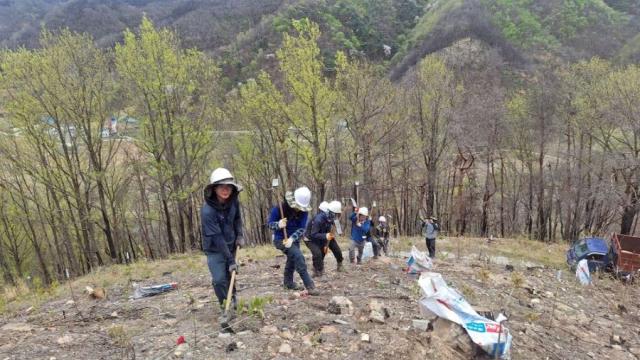[NSP NEWS Image]안동시 산불 피해지 복원 봄철 조림 사업 추진 총력
