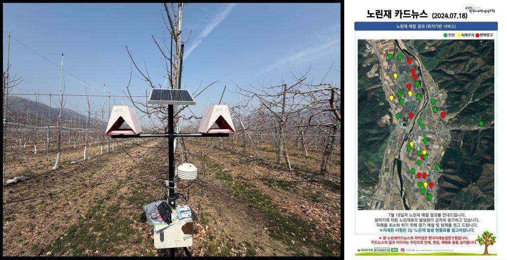 -안동시 스마트농업 솔루션으로 사과 생산 안정성 확보 노지 스마트팜 도입 농가 전국 생산량 급감에도 생산성 유지 병해충 피해 110로 격감 노동시간 38 단축 산업 체질 개선 사진 안동시