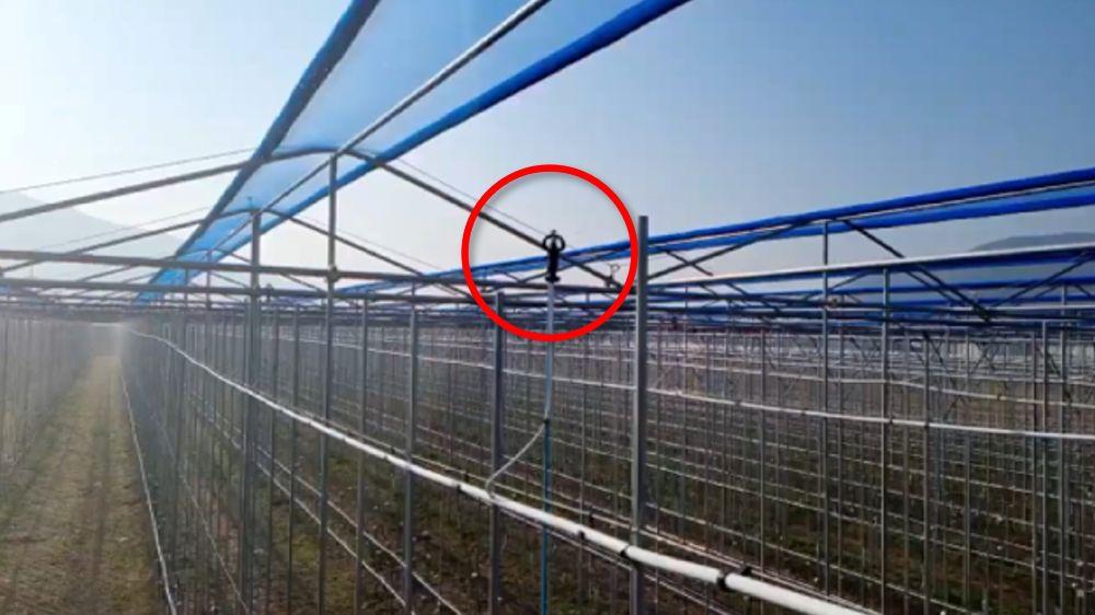 -지난 2023년 봄철 이상기후로 인해 전국 사과 생산량이 전년 대비 303나 급감했을 때 안동시가 조성한 노지 스마트농업 시범단지의 생산량은 오히려 소폭 증가하며 위기에 강한 면모를 보였다 사진 안동시