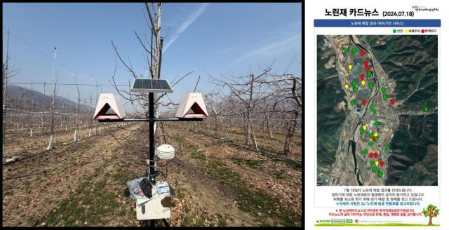 [NSP NEWS Image]안동시 스마트농업 솔루션으로 사과 생산 안정성 높여
