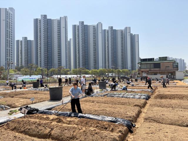 [NSP NEWS Image]안성시 사회적 배려고향사랑기부 연계 텃밭상생 행정 착수