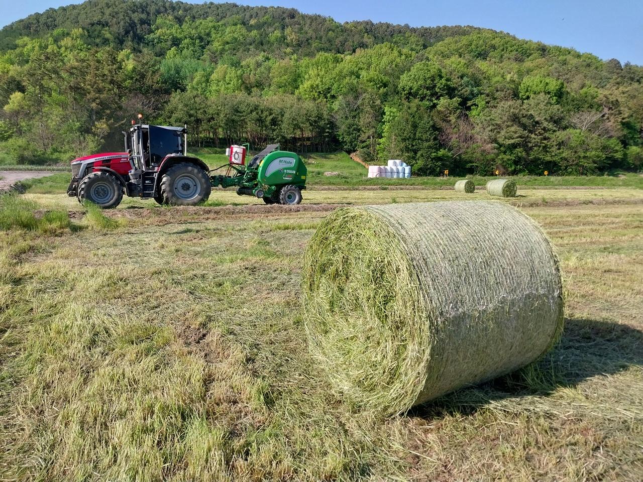 -강진군 관내 농민이 조사료 사일리지 롤작업을 하고 있다 사진 강진군
